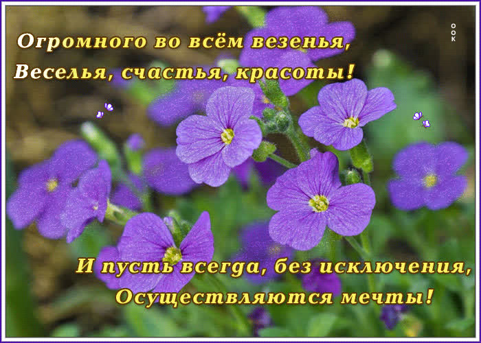 Картинка будьте вы счастливы