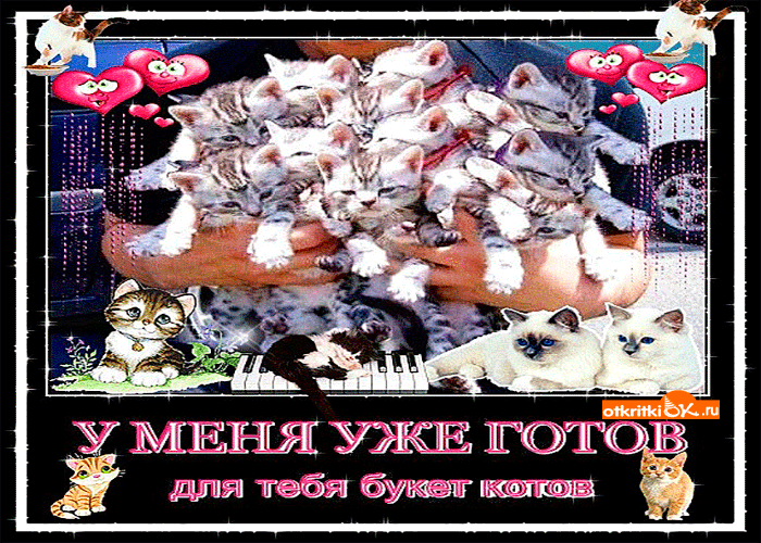 Открытка букет котов