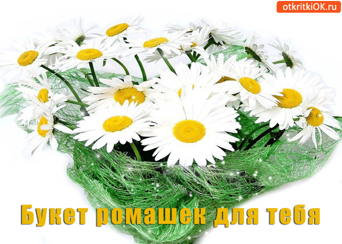 Открытка букет ромашек для тебя, милашки!