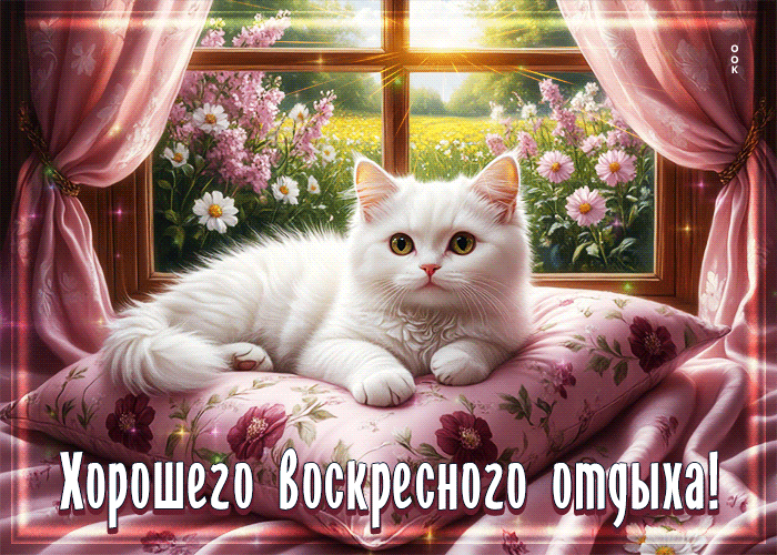 Postcard чарующая летняя гиф-открытка хорошего воскресного отдыха