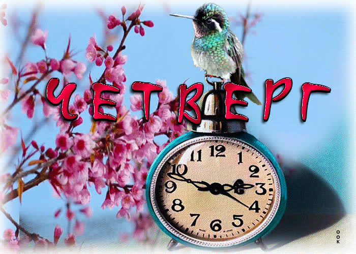 Postcard чарующая открытка четверг! с птичкой и часами