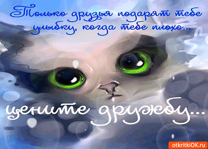 Картинка цените дружбу