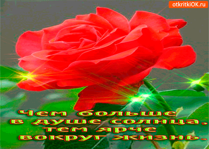 Картинка чем больше в душе солнца