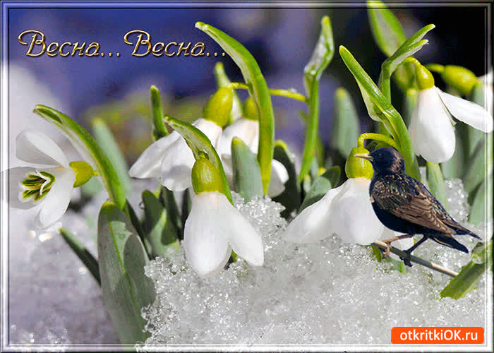 Картинка чудесная весна пришла