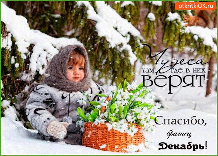 Открытка чудесная зима пришла