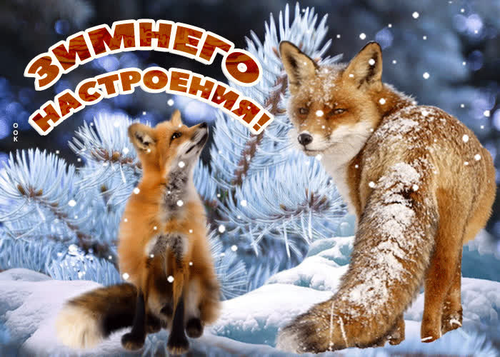 Картинка чудесного тебе настроения