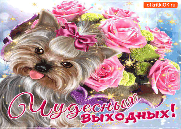 Картинка чудесных выходных тебе желаю!