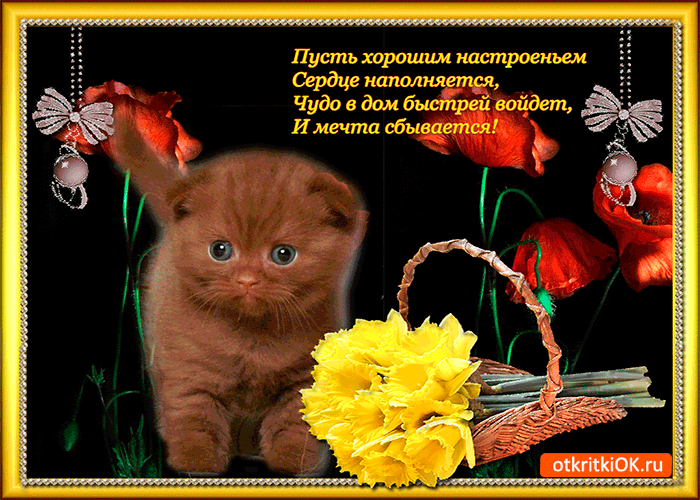 Открытка чудо в дом быстрей зайдёт
