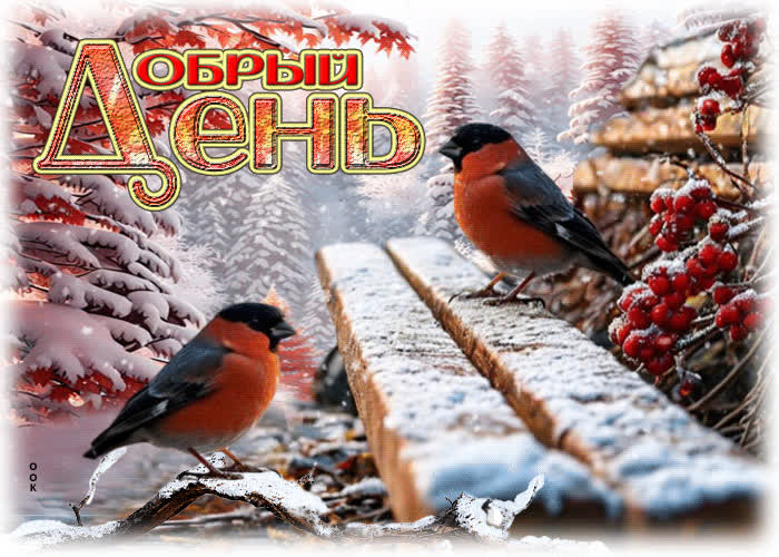 Postcard чистая зимняя гиф-открытка добрый день