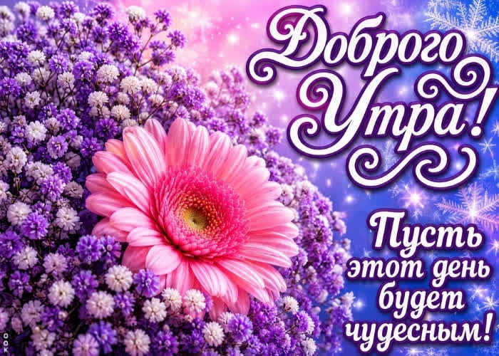 Postcard чтоб этот день был самым чудесным