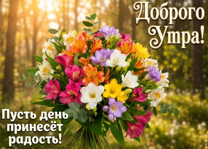 Postcard чтоб этот день принес тебе радость