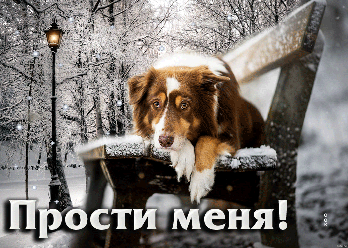 Picture чудесная анимационная открытка прости меня