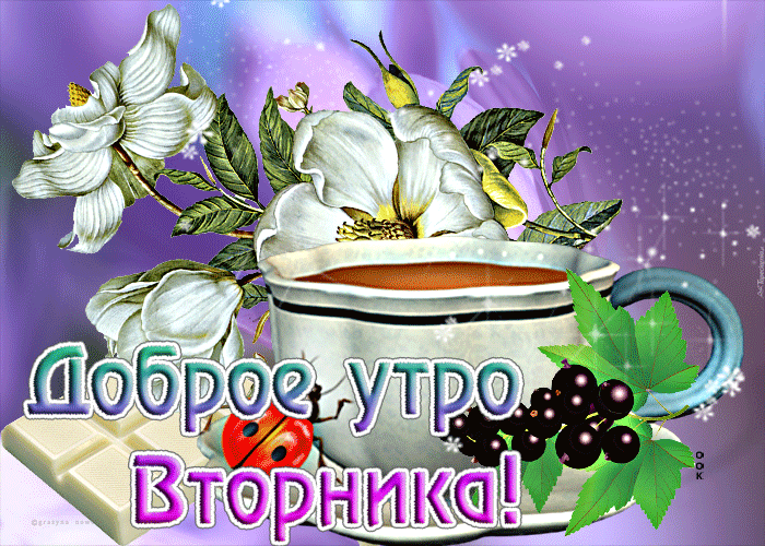 Postcard чудесная открытка доброе утро вторника!