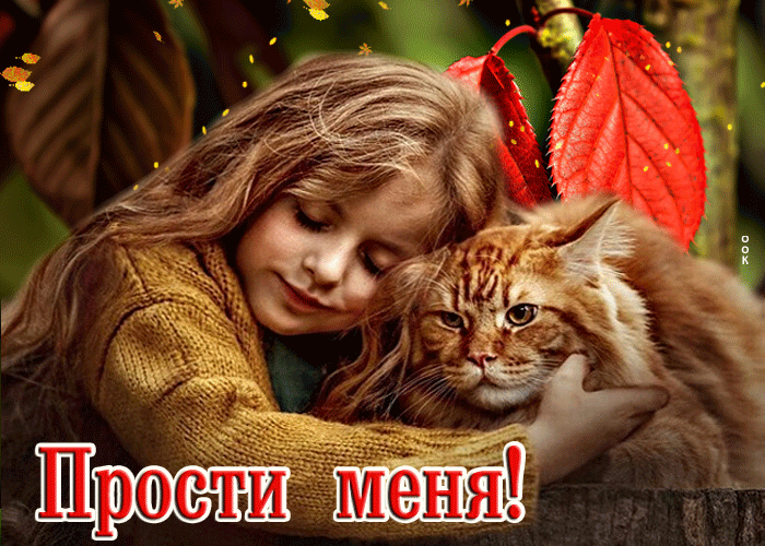 Postcard чудесная открытка прости меня! с девочкой и котом