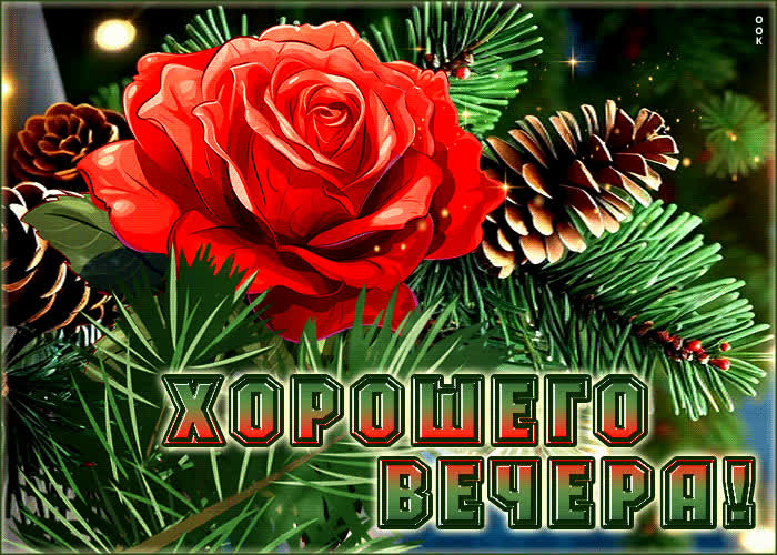 Picture чудесная открытка с красной розочкой хорошего вечера