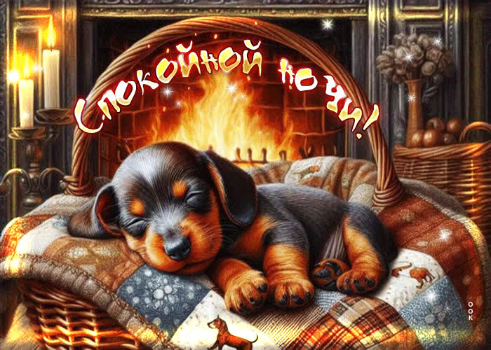 Picture чудесная открытка с щенком спокойной ночи