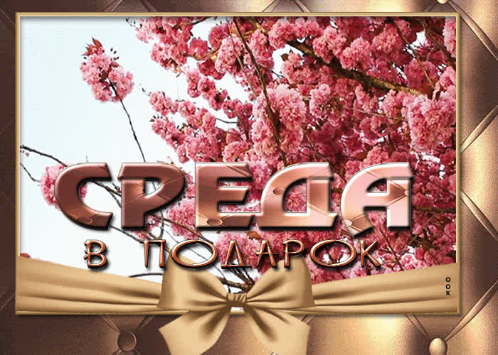 Postcard чудесная открытка среда в подарок!