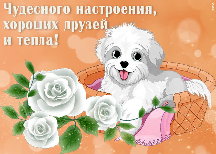 Postcard чудесная открытка хороших друзей и тепла!