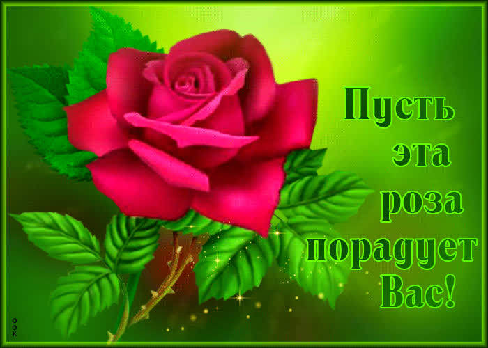 Postcard чудесно-радужная гиф-открытка пусть эта роза порадует вас