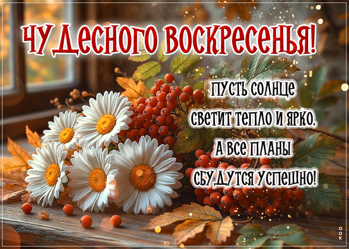 Postcard чудесного воскресенья! пусть солнце светит тепло и ярко