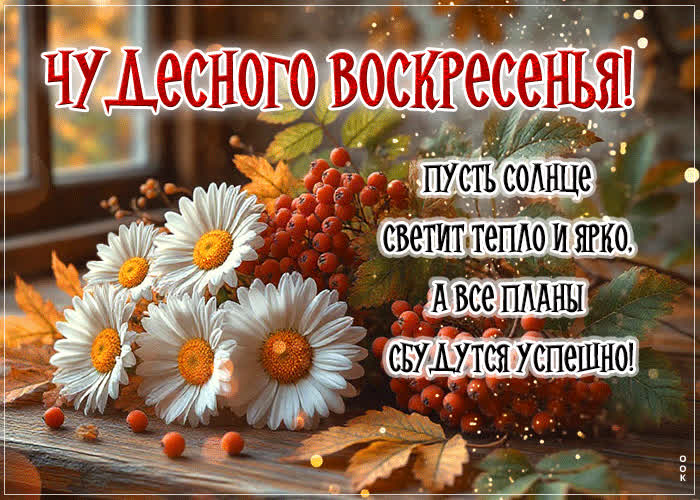 Postcard чудесного воскресенья! пусть солнце светит тепло и ярко