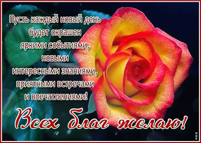 Postcard цветастая открытка с розой всех благ желаю!