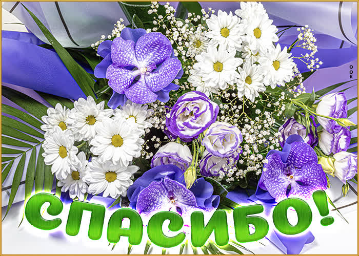 Picture цветочная картинка спасибо!