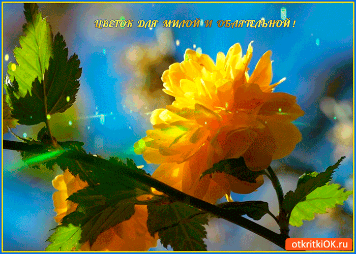 Открытка цветок для милой и обаятельной
