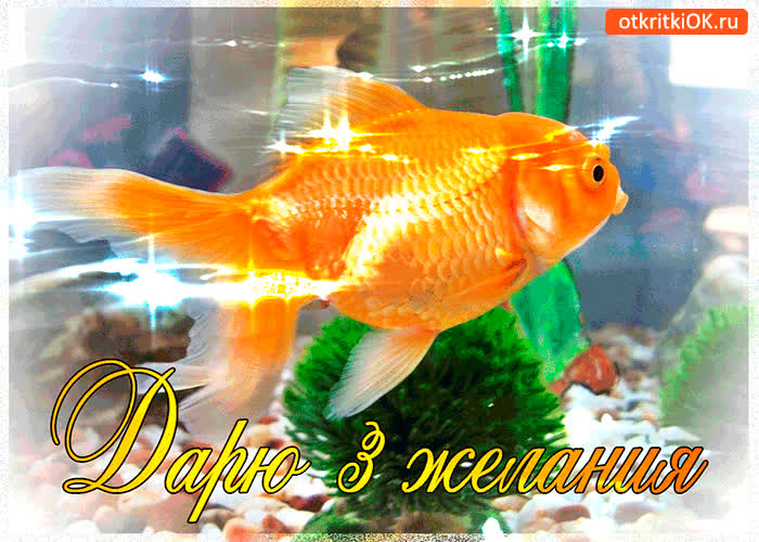 Картинка дарю 3 желания