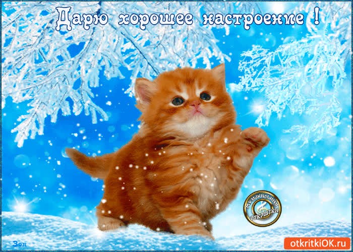 Картинка дарю хорошее настроение