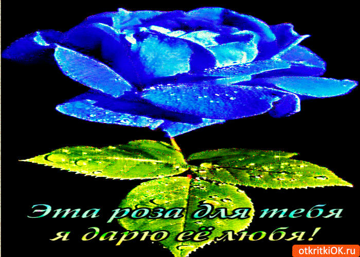 Картинка дарю розу любя