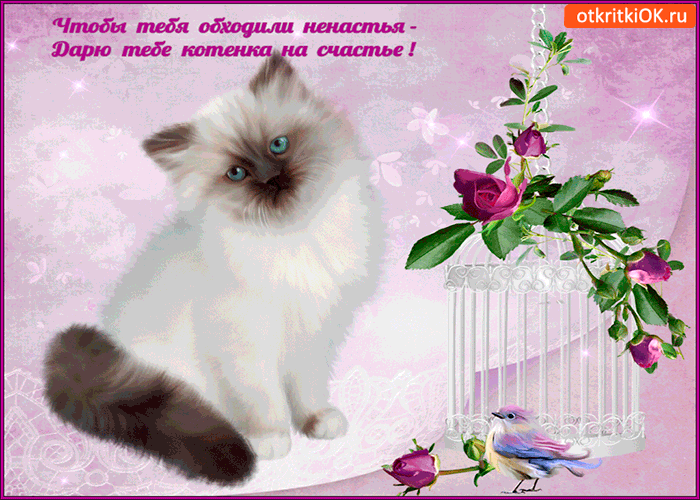 Картинка дарю тебе котенка на счастье
