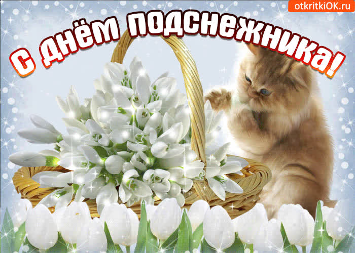 Картинка дарю тебе корзину подснежников