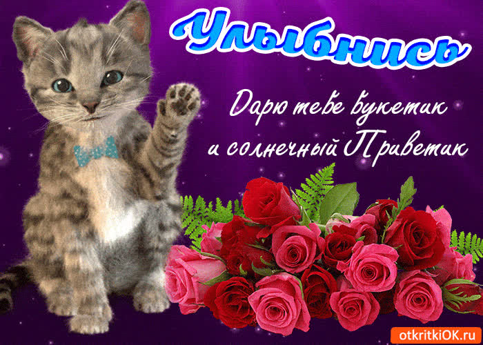 Картинка дарю тебе приветик