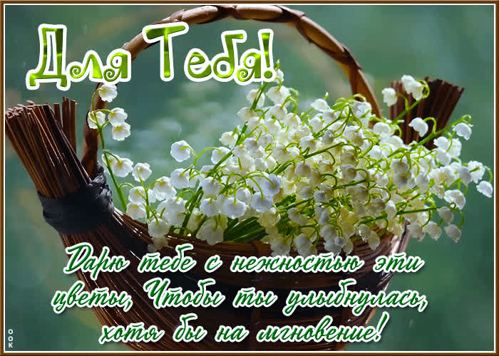 Picture дарю тебе с нежностью эти цветы, чтобы ты улыбнулась