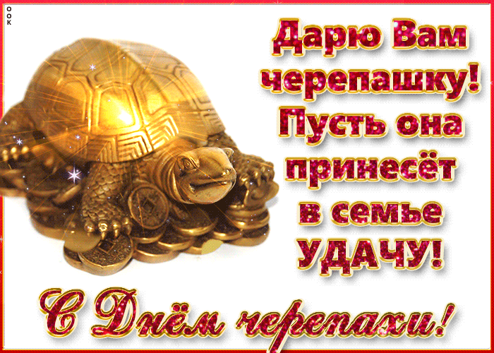 Картинка дарю вам черепашку, пусть она принесет в семье удачу