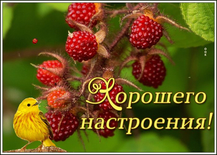 Картинка дарю всем хорошее настроения