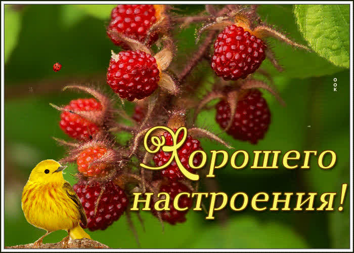 Картинка дарю всем хорошее настроения
