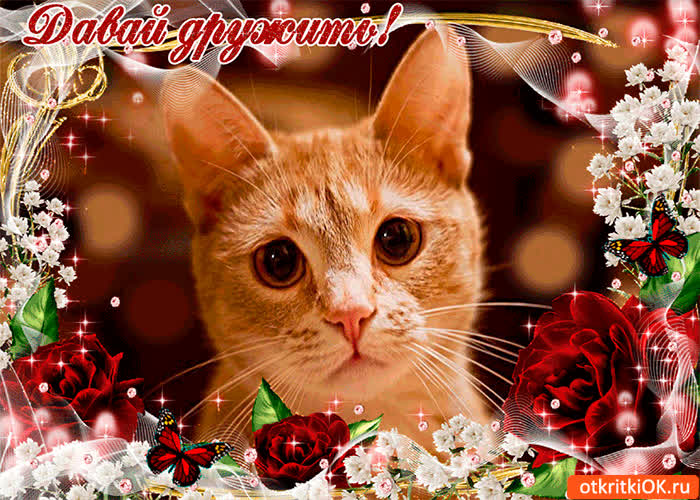 Картинка давай дружить