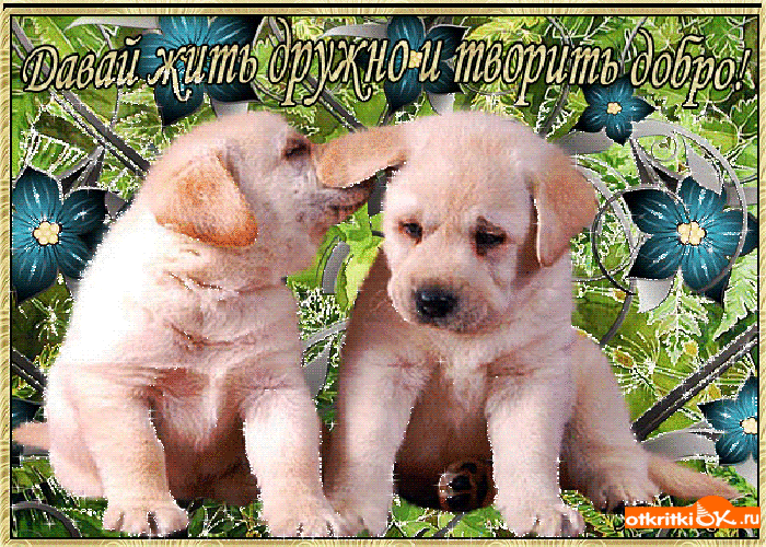 Открытка давай жить дружно