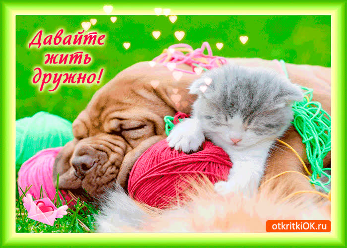 Картинка давайте жить дружно