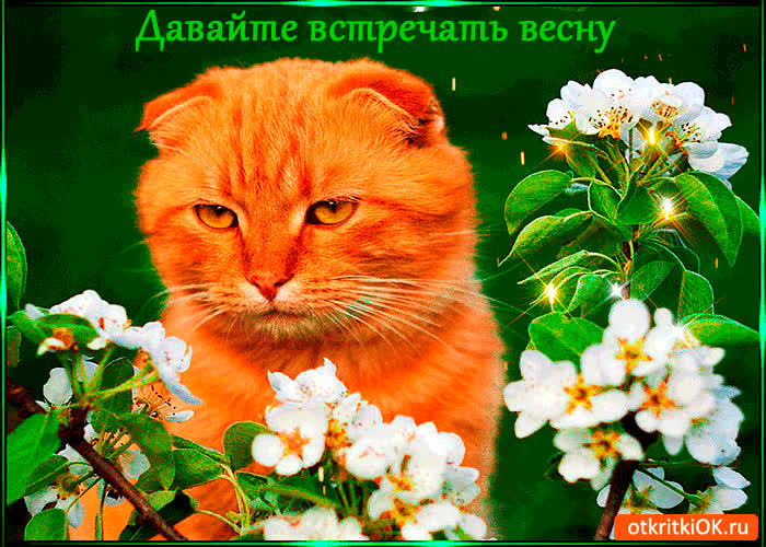 Картинка давайте встречать весну
