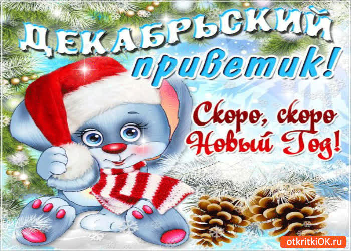Картинка декабрьский приветик