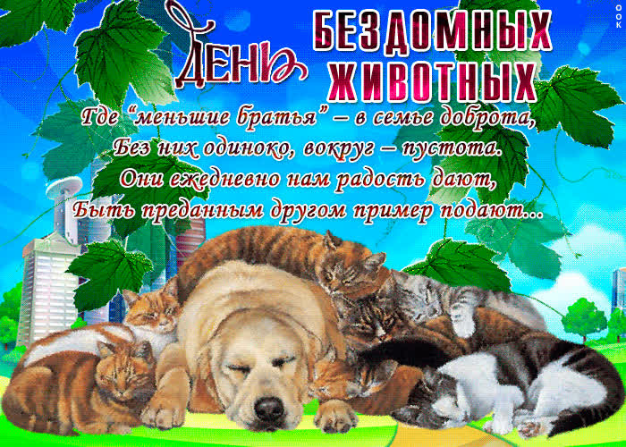 Картинка день бездомных животных