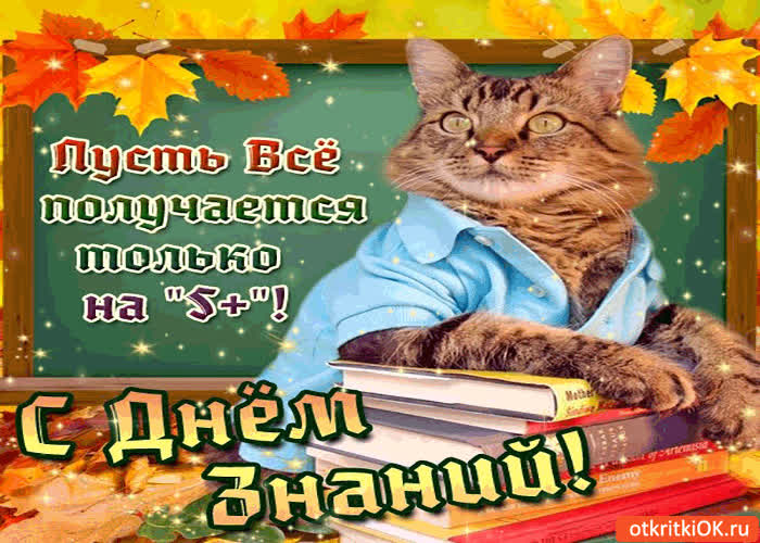 Картинка день знаний - пусть получается всё на 5+