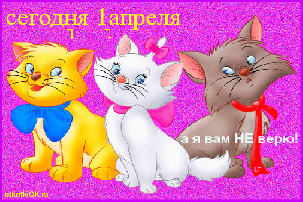 Картинка день дурака фото