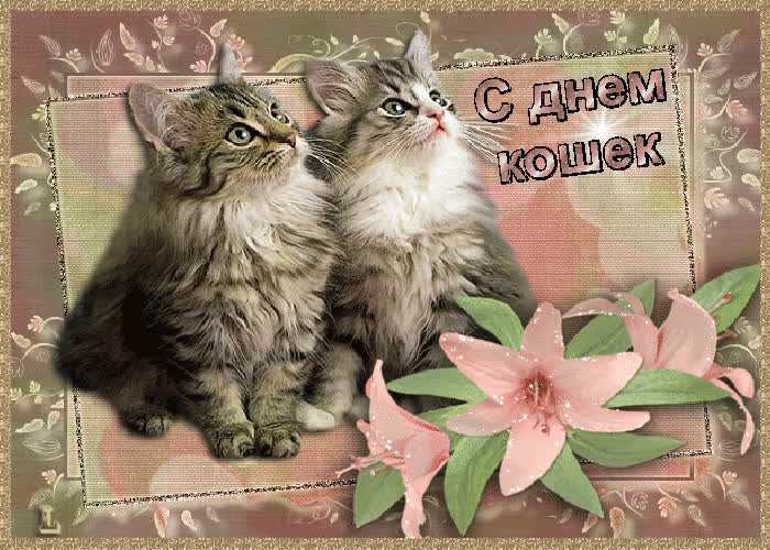 Картинка день котов и кошек