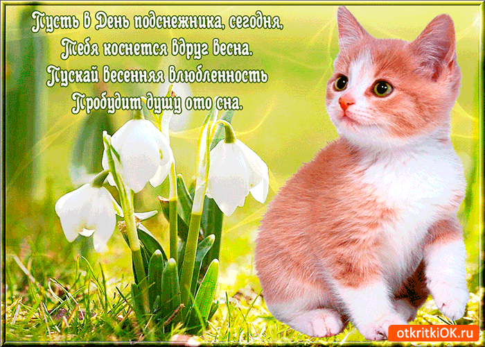Картинка день подснежника любовь несёт