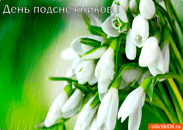 Открытка день подснежников пришел
