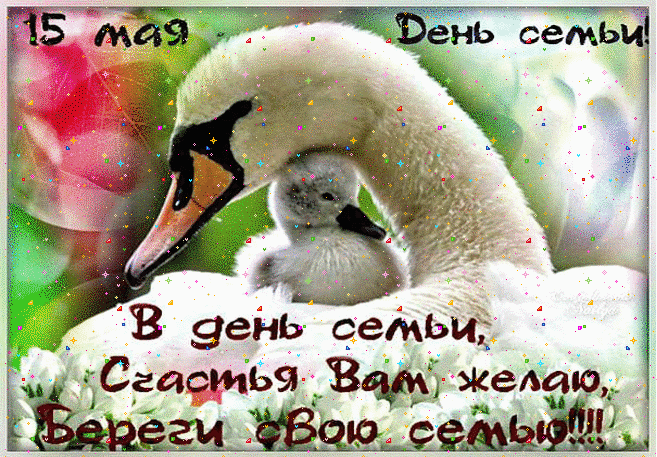 Картинка международный день семьи